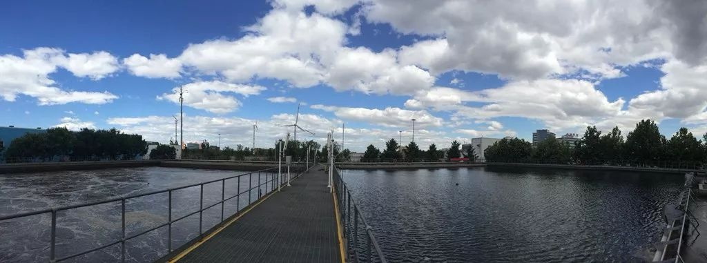 樂中環?？萍嘉鬯幚韱柎穑?8）：羅茨鼓風機的構造，羅茨鼓風機的優點和缺點有哪些