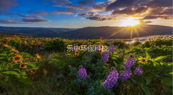 污水處理廠活性污泥法日常管理中，需要監測與注意的參數-樂中環保