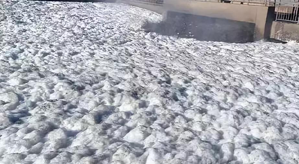 生物泡沫 生物泡沫