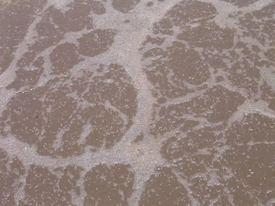 活性污泥流程和運行的基本條件-樂中環保