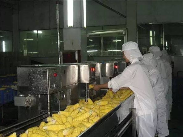 玉米加工廠(chǎng)廢水處理方法-污水處理流程-樂(lè)中環(huán)保