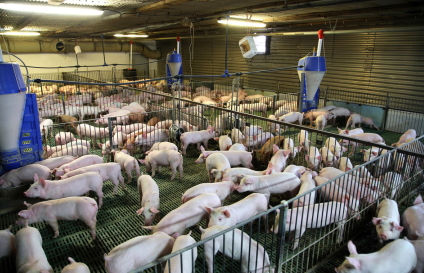 甘肅天水畜禽養殖污水處理案例 甘肅天水畜禽養殖污水處理案例