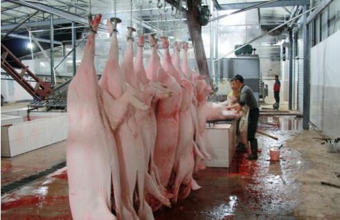 屠宰廢水處理方法有哪些？屠宰廢水處理設備價格？-01