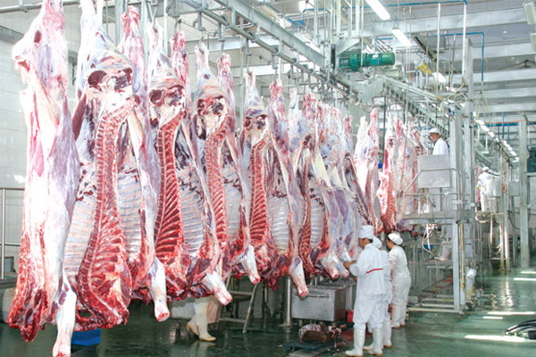 屠宰廢水處理方法有哪些？屠宰廢水處理設備價格分享