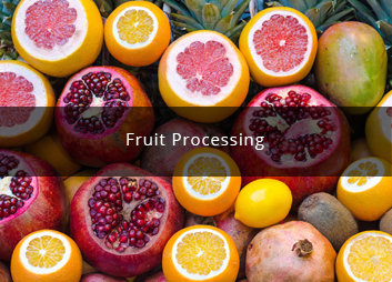 食品廠污水處理新思路,印度食品污水處理經驗淺析01 食品廠污水處理新思路,印度食品污水處理經驗淺析01