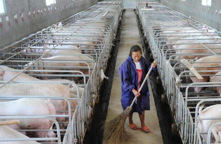 畜牧污水處理設備哪家好,養殖污水處理設備哪家好 畜牧污水處理設備哪家好,養殖污水處理設備哪家好