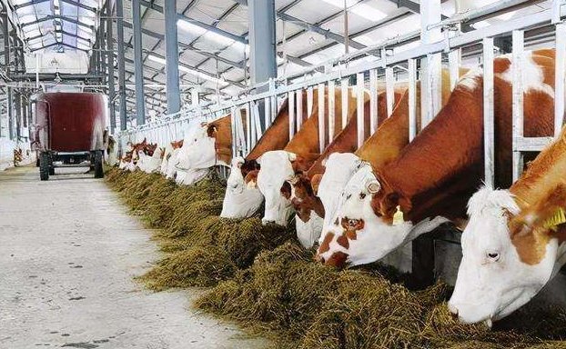 養(yǎng)殖污水處理設(shè)備的如何調(diào)試才能保障正常運(yùn)行？02