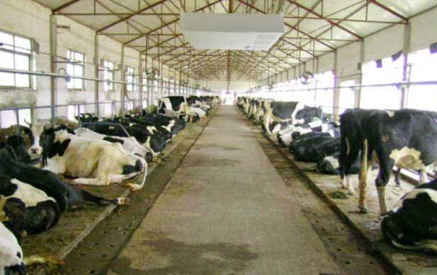 養(yǎng)殖屠宰污水處理設(shè)備使用前,要注意這兩點(diǎn)!01 養(yǎng)殖屠宰污水處理設(shè)備使用前,要注意這兩點(diǎn)!01