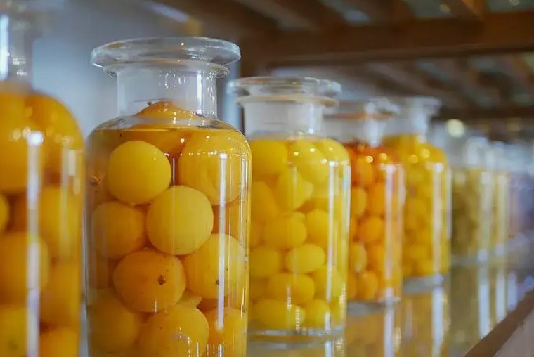 果脯加工廢水處理方案|工藝流程|設(shè)備-1 果脯加工廢水處理方案|工藝流程|設(shè)備-1