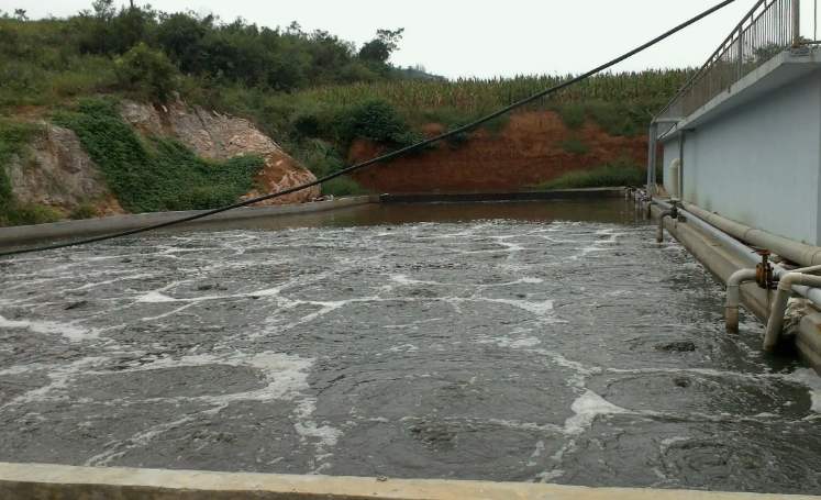 養殖場廢水處理工藝有哪些？（養殖污水便宜處理方法）