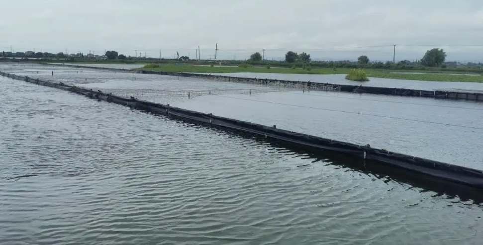 水產(chǎn)養(yǎng)殖尾水處理原理及方法講解(尾水處理設(shè)備用途) 水產(chǎn)養(yǎng)殖尾水處理原理及方法講解(尾水處理設(shè)備用途)